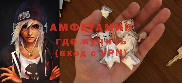 крисы Абаза