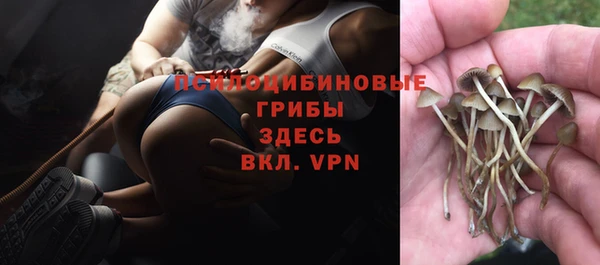 PSILOCYBIN Абинск