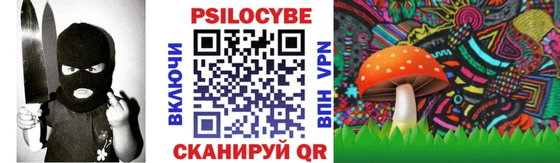 Псилоцибиновые грибы Psilocybe Дятьково